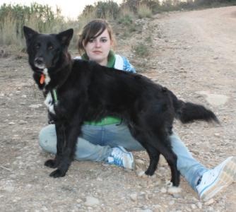 Dalita, ein hübsches Border Collie Mix Mädchen!