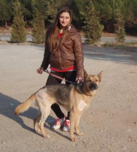 Tati-NOTFALL, Schäferhundmix, geb. 09/09, weibl.-kastr., sucht liebevolle Menschen!