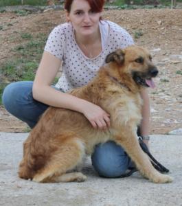 Canut, Gos d'Atura Mix, geb. 05/12, männl.-kastr. - noch in Spanien