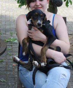 Betty, eine lustige Welpin, wartet in Nordbayern!