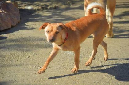 MILO - sucht aktive Familie