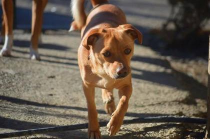 MILO - sucht aktive Familie