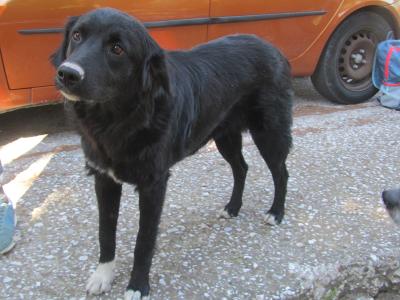 Tigra / Reserviert