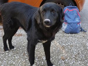 Tigra / Reserviert