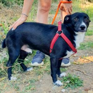 Toby / Reserviert