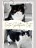 Chandler und/oder Cherry (exotic shorthair Perserkatzen) suchen ein neues Zuhause