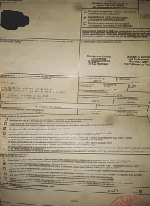 Graupapagei Paar (M+W) und zubehor