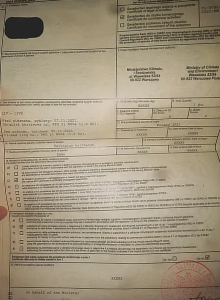 Graupapagei Paar (M+W) und zubehor