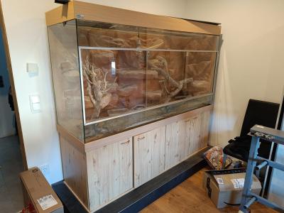 Großes Terrarium inkl. Bartagame - Komplettset zu verschenken!