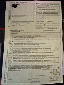 Graupapagei Henne 1 Jahr Alt!
