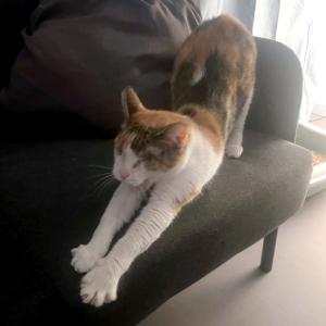 CAROLINE - Blindchen möchte kuscheln statt gucken
