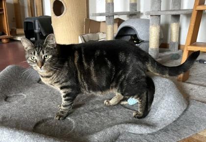 TONJA & MAXI - Traumpaar sucht gemeinsames Zuhause