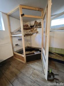 🐭 Zwei Chinchillas in liebevolle und erfahrene Hände abzugeben 🐭